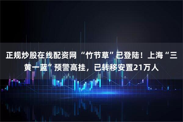 正规炒股在线配资网 “竹节草”已登陆！上海“三黄一蓝”预警高挂，已转移安置21万人