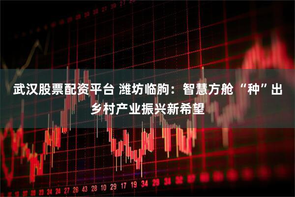 武汉股票配资平台 潍坊临朐：智慧方舱 “种”出乡村产业振兴新希望