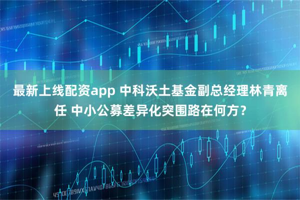 最新上线配资app 中科沃土基金副总经理林青离任 中小公募差异化突围路在何方？
